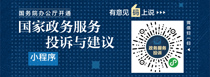 國家政務服務與建議